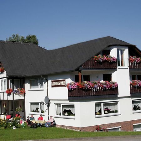 Landhaus Behle Willingen  Extérieur photo